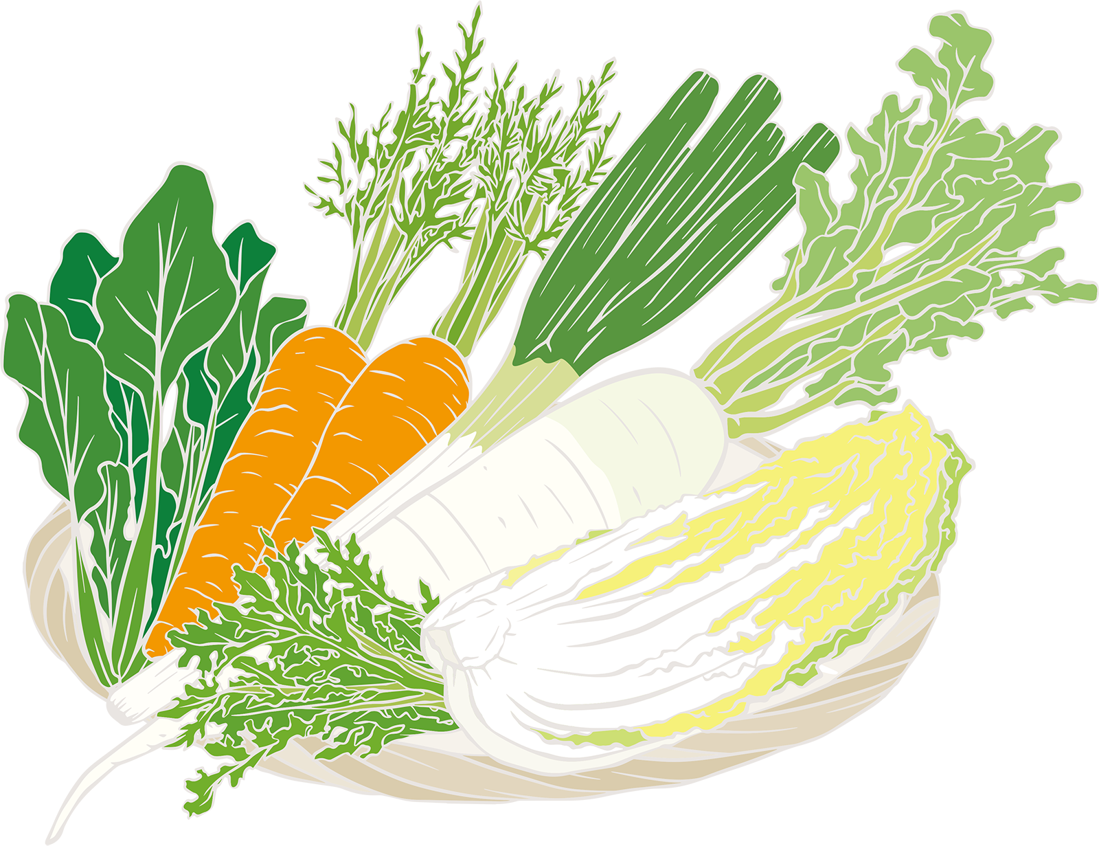 冬野菜育てています 京都の 料理工房ホワイトファミリー パーティー 会議 イベントなどに便利な和 洋 中のケータリングレストラン