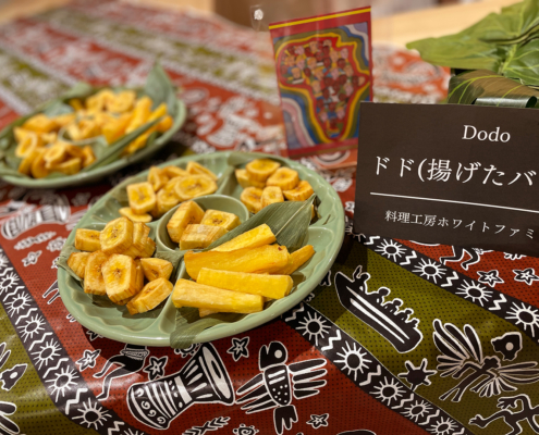 京都経済センターへアフリカをテーマとしたネットワーキングイベント用パーティー料理のお届け